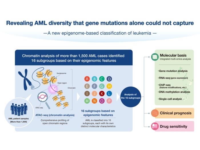 Revealing AML diversity that gene mutations alone could not capture