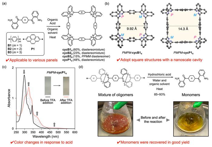 Figure 2. Overview of this study. (a) Synthesis of diverse macrocycles. (b) Identification of the square structure by single-crystal X-ray diffraction analysis. (c) Demonstration of acid responsiveness using spectroscopic measurements. (d) Acid-mediated h