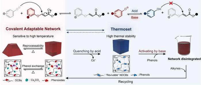 On-demand reversible switching between dynamic covalent polymers and thermosetting polymers
