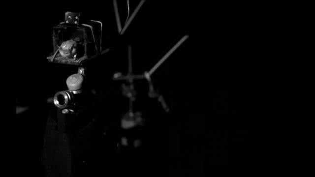 Bats predict location of prey