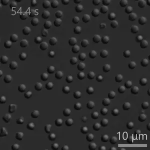 Morphogenic colloids video 2