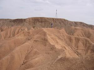 Field photo
