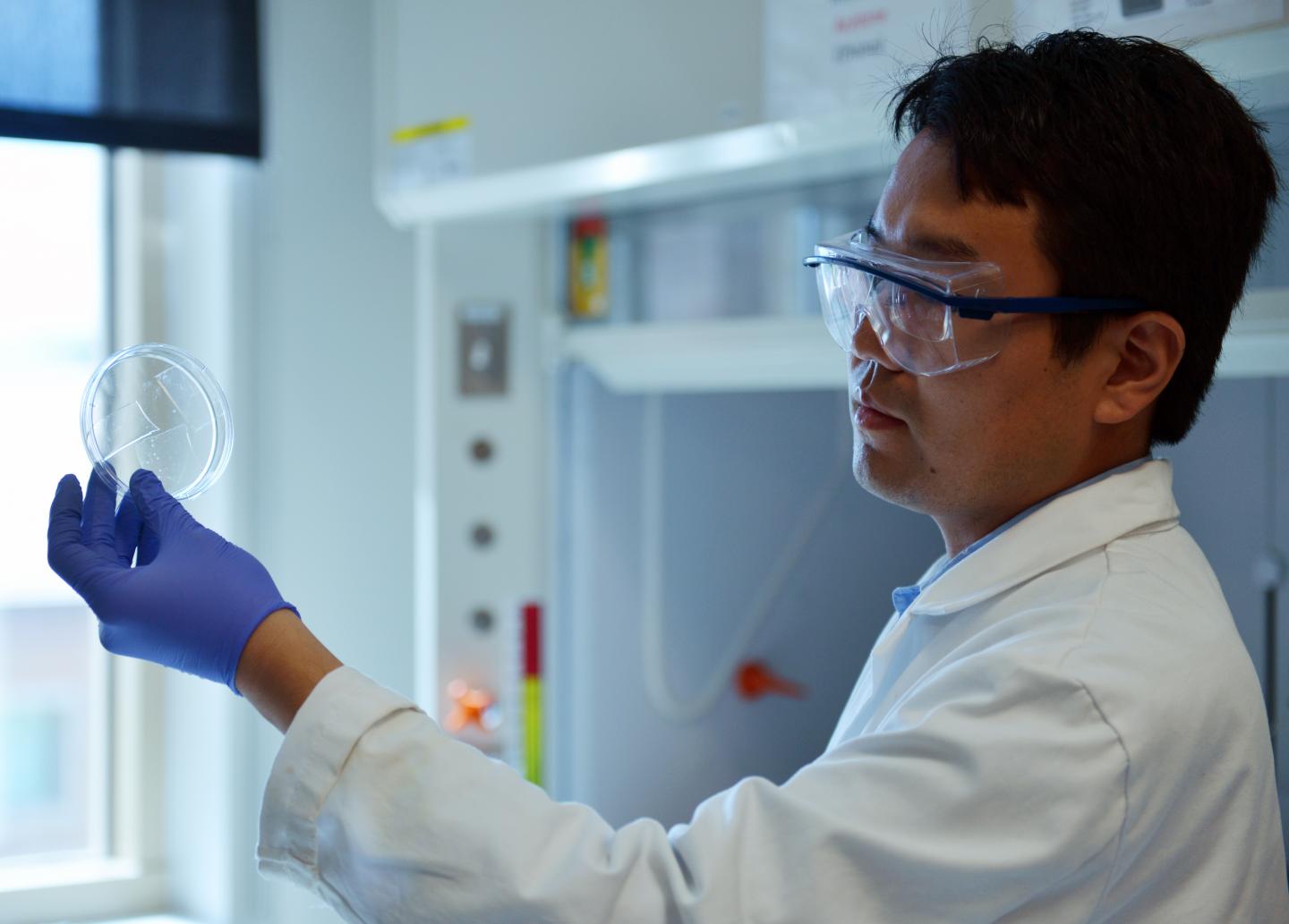 Thin, Flexible and Transparent