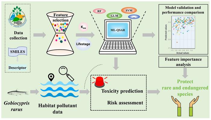 Toxicity prediction and ecological risk assessment of new contaminants to rare and endangered species using machine learning-QSAR: a case study of conserving Gobiocypris rarus in the Yangtze River Basin