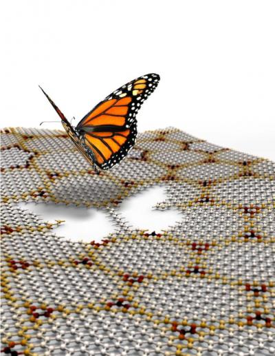 Hofstadter Butterfly Fractal in Graphene Moiré Superlattices