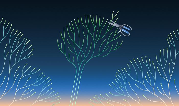 Pruning compact neural network models