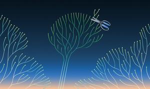 Pruning compact neural network models