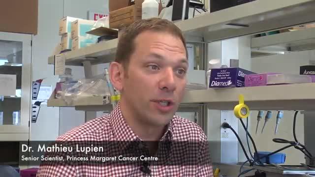 Breast Cancer Researchers Look Beyond Genes to Identify More Drivers of Disease Development