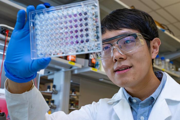 Common food bacteria could help make vitamins cheaper and greener