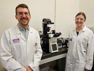 Synthetic cells researchers