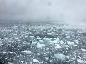 Antarctica 2