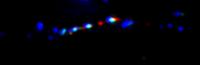 Chromatin Fiber