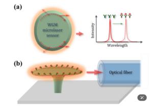PolyU researchers pioneer 3D micro-printed sensors to advance on-chip biosensing for early disease detection