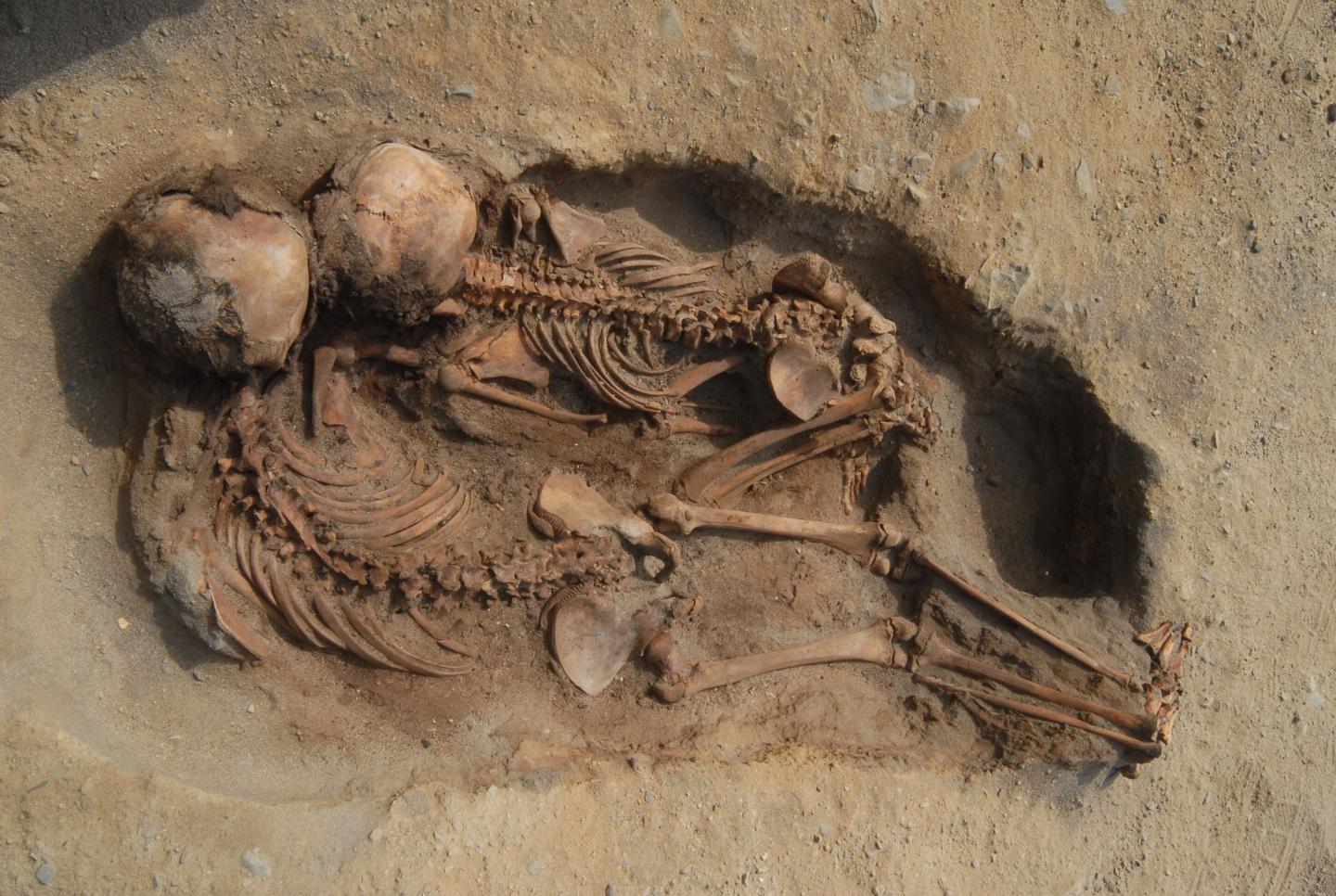 Hundreds of Children and Llamas Sacrificed in a Ritual Event in 15th Century Peru (2 of 2)