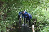 Stream in Denmark