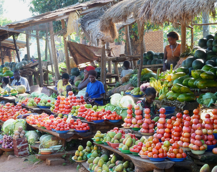 A diverse food supply