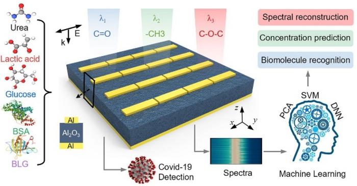 Tailoring Light-Matter Interactions in Overcoupled Resonator for Biomolecule Recognition and Detection