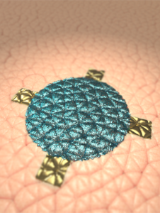 Skin transistor van der Waals thin film