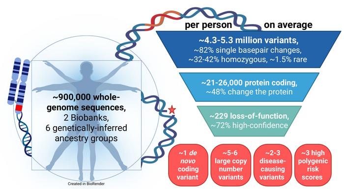 "Average genome" graphical abstract
