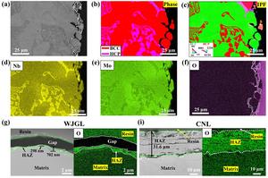 Fig. 3 SEM images and mapping result of WJGL processed interface and material matric.