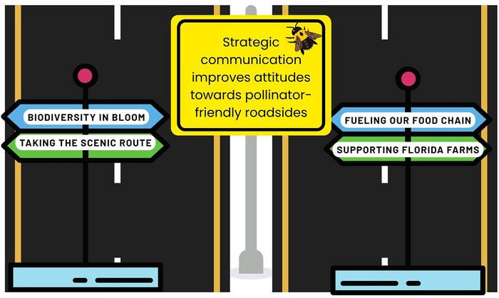 Graphical Abstract