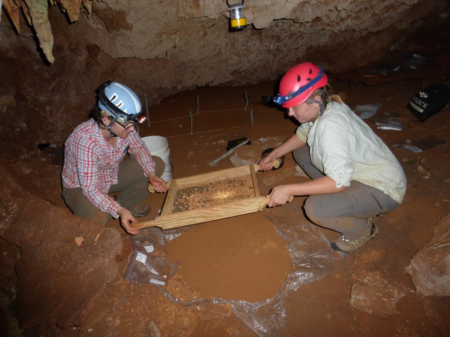 Fossils