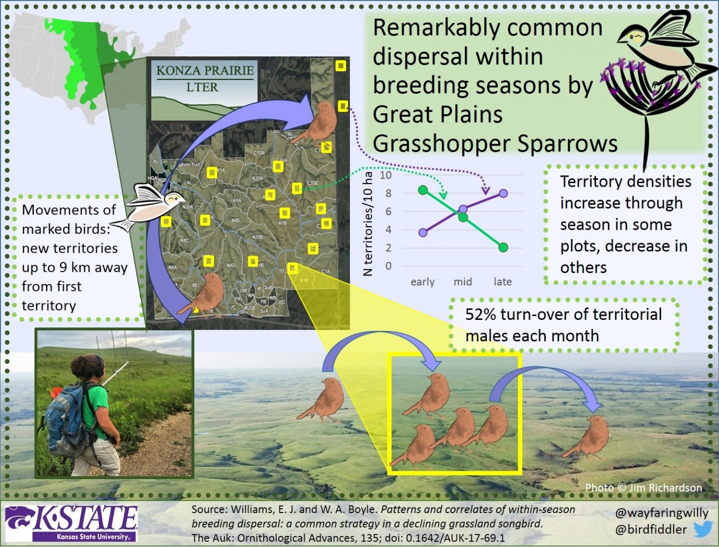 Within-season Breeding Dispersal