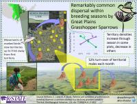 Within-season Breeding Dispersal
