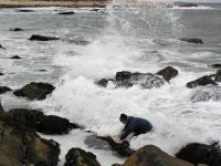 Researcher in Rushing Tide