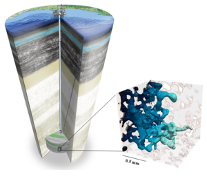 Carbon capture and storage schematic