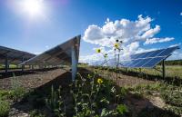 Solar PV