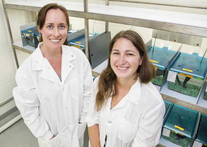Alison Bell and Laura Stein, University of Illinois