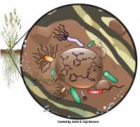 Microbes