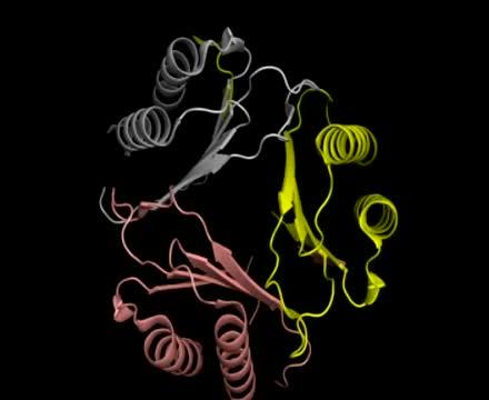<em>Plasmodium</em> MIF