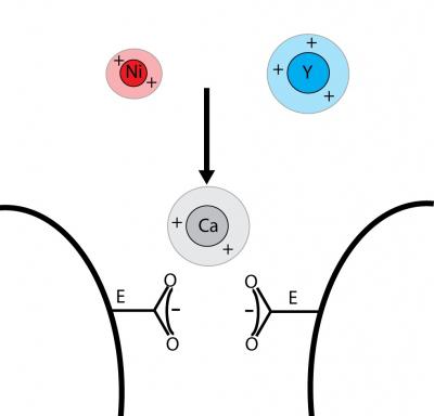 Neural Nanoblocker