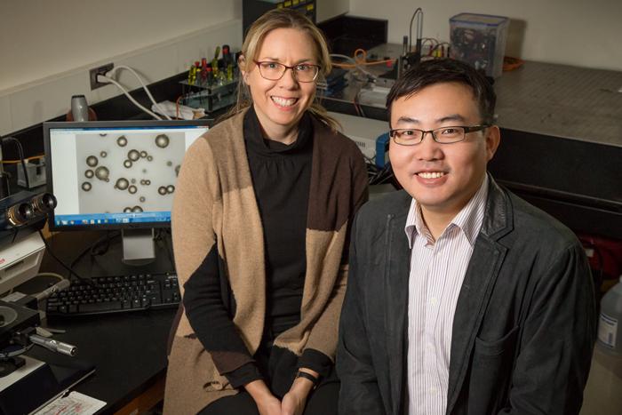 Nancy Sottos and Wenle Li, University of Illinois at Urbana-Champaign