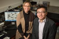 Nancy Sottos and Wenle Li, University of Illinois at Urbana-Champaign