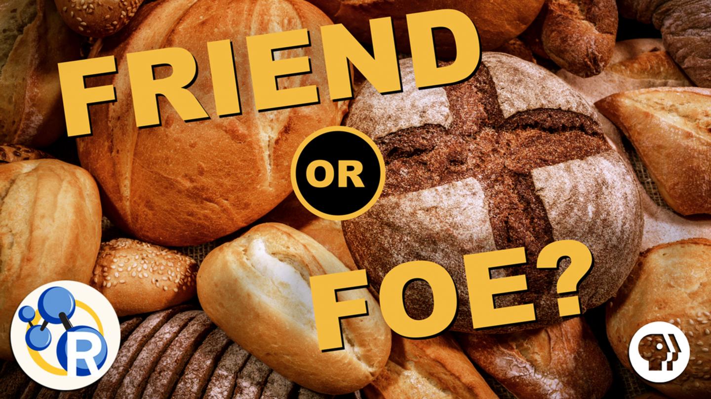 The only Video You'll Ever Need to Watch about Gluten