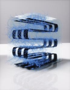 Princeton Fu 3D biocomputing network