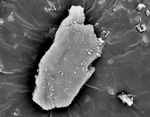 A scanning electron microscope image of gemstone processing waste