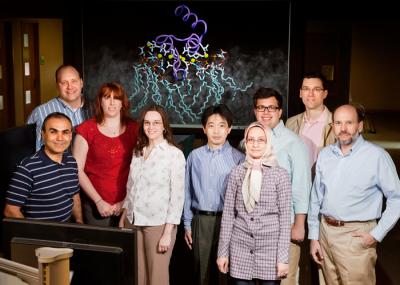 Team Studies Blood Clotting