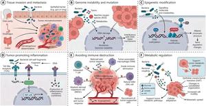 The role of intratumoral microbiota in the development of cancer.