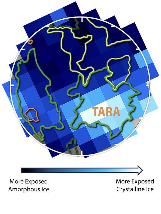 TARA