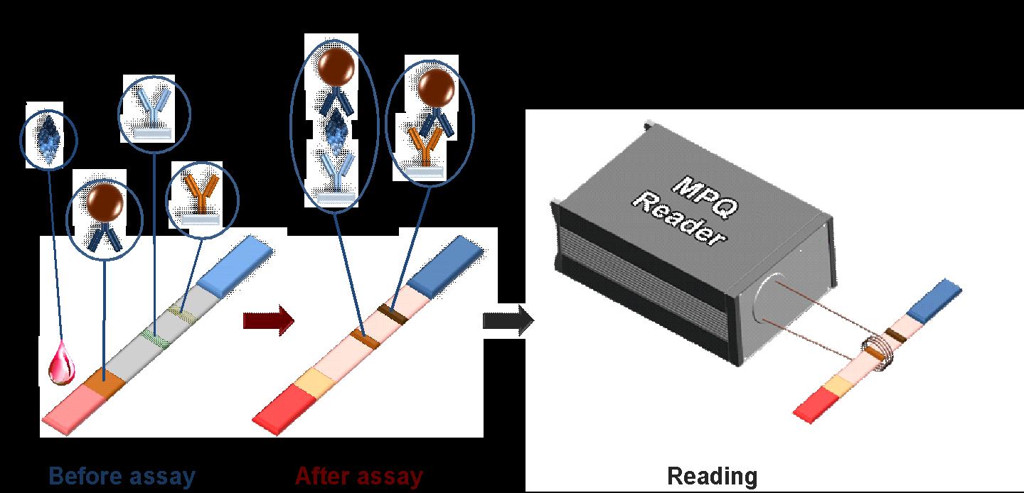 Scheme of the Test Strip Work