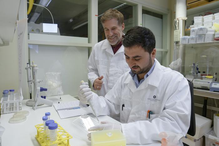 Constantin Urban and Nadeem Ullah in lab