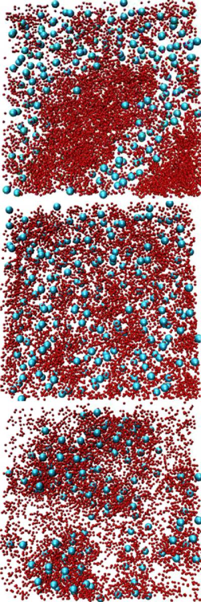 Simulation of Protein Aggregation