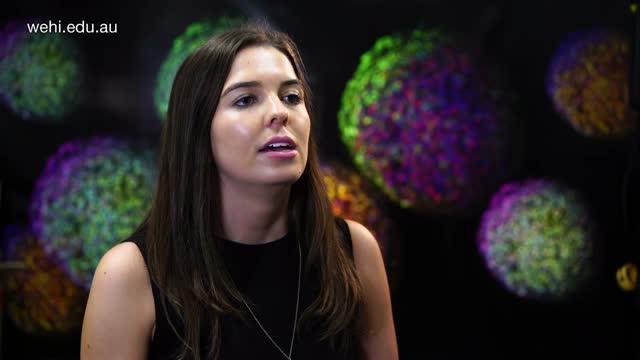 Interview with Breast Cancer Researchers