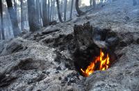 Fire This Summer Tietar Valley