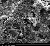 Silicon Anode