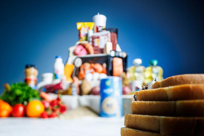New food pyramid aims to bridge nutrition advice across cultures ...